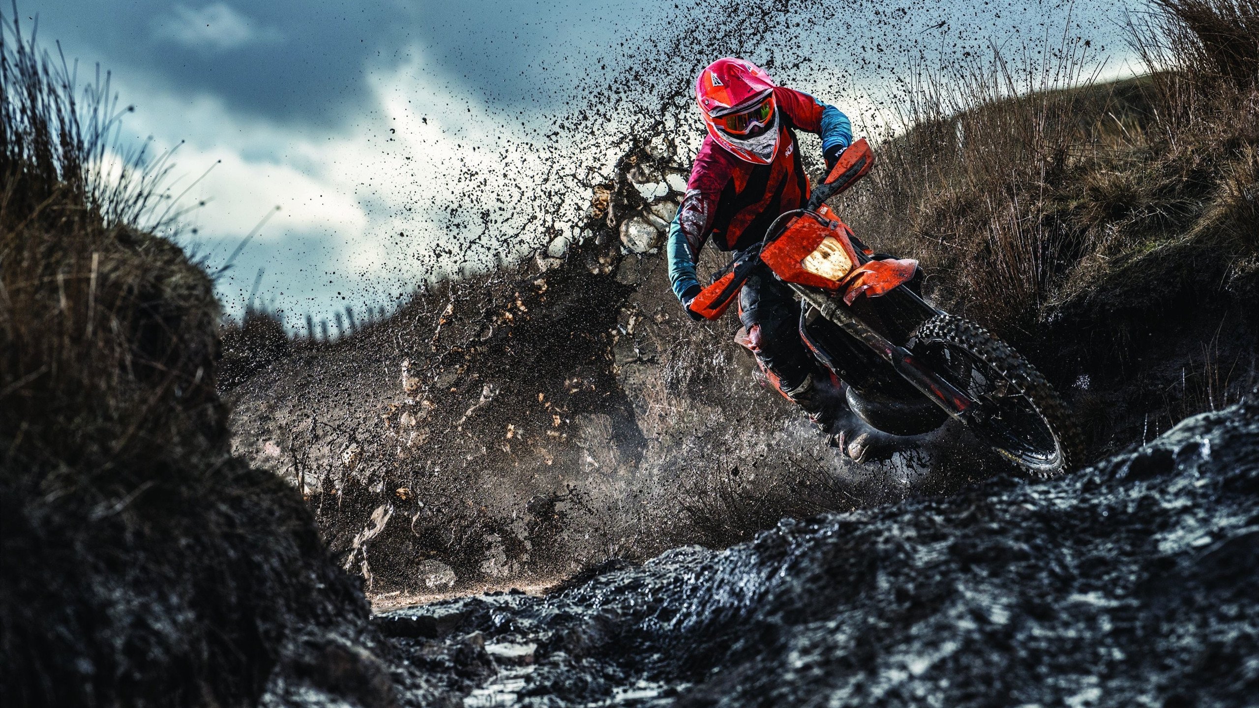 北非雄鹰展翅基辅,当阿尔及利亚单节成为东决转折点